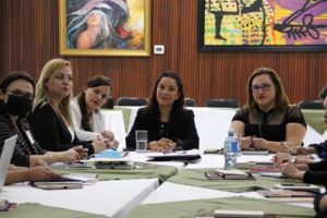 Poder Judicial comparte experiencia en atención integral de delitos sexuales con Honduras.
